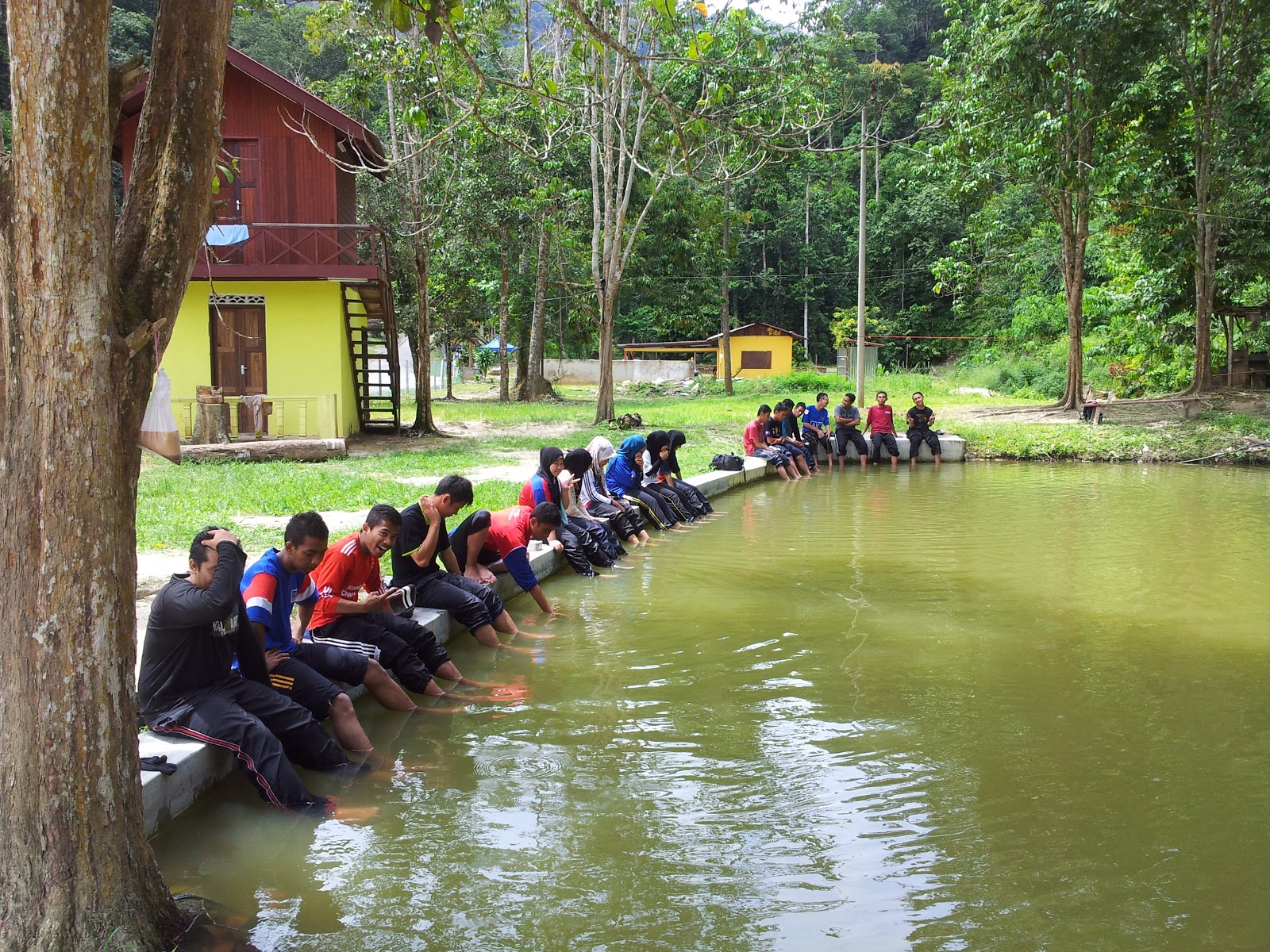 hutan lipur serting ulu